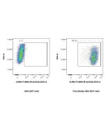 FcZero-rAb® CoraLite® Plus 594 Anti-Human CD34 Rabbit Recombinant Antibody CL594-FcA98145-4 proteintech