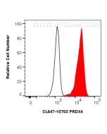 CoraLite® Plus 647-conjugated PRDX4 Polyclonal antibody CL647-10703 proteintech