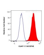 CoraLite® Plus 647-conjugated EIF4E Polyclonal antibody CL647-11149 proteintech