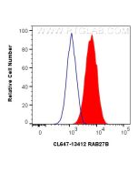 CoraLite® Plus 647-conjugated RAB27B Polyclonal antibody CL647-13412 proteintech