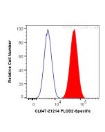 CoraLite® Plus 647-conjugated PLOD2 Polyclonal antibody CL647-21214 proteintech
