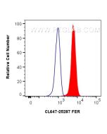 CoraLite® Plus 647-conjugated FER Polyclonal antibody CL647-25287 proteintech