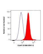 CoraLite® Plus 647-conjugated ERK1/2 Polyclonal antibody CL647-51068 proteintech