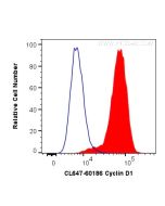 CoraLite® Plus 647-conjugated Cyclin D1 Monoclonal antibody CL647-60186 proteintech