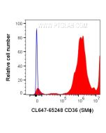 CoraLite® Plus 647 Anti-Human CD36 (SMΦ) CL647-65248 proteintech