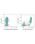 CoraLite® Plus 647 Anti-Human CD16 (3G8) Mouse IgG2a Recombinant Antibody CL647-65612 proteintech