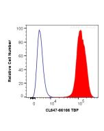 CoraLite® Plus 647-conjugated TBP Monoclonal antibody CL647-66166 proteintech
