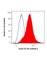 CoraLite® Plus 647-conjugated SUMO2/3 Monoclonal antibody CL647-67154 proteintech