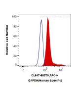 CoraLite® Plus 647-conjugated GAPDH (Human Specific) Recombinant monoclonal antibody CL647-80570 proteintech