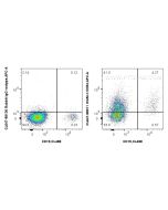 CoraLite® Plus 647 Anti-Human ICAM-1/CD54 Rabbit Recombinant Antibody CL647-98011 proteintech