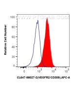 CoraLite® Plus 647 Anti-Mouse VEGFR2/CD309 Rabbit Recombinant Antibody CL647-98027-2 proteintech