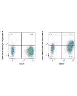 CoraLite® Plus 647 Anti-Human CD126/IL-6R alpha Rabbit Recombinant Antibody CL647-98057 proteintech