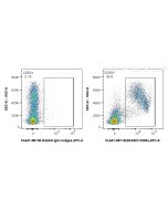 CoraLite® Plus 647 Anti-Mouse NCAM1/CD56 Rabbit Recombinant Antibody CL647-98118 proteintech