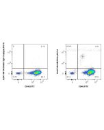 CoraLite® Plus 647 Anti-Human CD34 Rabbit Recombinant Antibody CL647-98145-4 proteintech