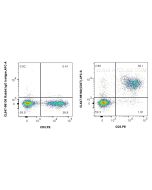CoraLite® Plus 647 Anti-Mouse CD27 Rabbit Recombinant Antibody CL647-98160 proteintech