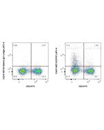 CoraLite® Plus 647 Anti-Mouse CD157 Rabbit Recombinant Antibody CL647-98213 proteintech