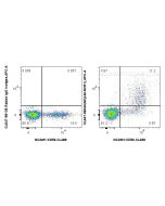 CoraLite® Plus 647 Anti-Human NKp46/NCR1 Rabbit Recombinant Antibody CL647-98340 proteintech
