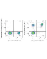 FcZero-rAb® CoraLite® Plus 647 Anti-Mouse CD3e (145-2C11) Rabbit Recombinant Antibody CL647-FcA65651 proteintech