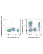 FcZero-rAb® CoraLite® Plus 700 Anti-Human CD7 Rabbit Recombinant Antibody CL700-FcA98204 proteintech