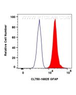 CoraLite® Plus 750-conjugated GFAP Polyclonal antibody CL750-16825 proteintech