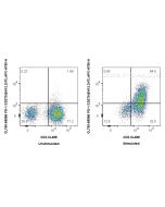 CoraLite® Plus 750 Anti-Human PD-1/CD279 (EH12.2H7) Mouse IgG2a Recombinant Antibody CL750-65586 proteintech