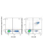 CoraLite® Plus 750 Anti-Mouse CD4 (RM4-4) Rat Recombinant Antibody CL750-65655 proteintech