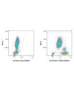 CoraLux™ Violet 510 Anti-Human CD45 Rabbit Recombinant Antibody CLV510-98117 proteintech