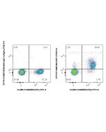 FcZero-rAb® PerCP-Cyanine5.5 Anti-Mouse CD27 Rabbit Recombinant Antibody CPY5-FcA98160 proteintech