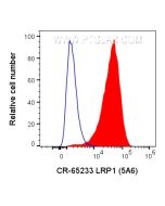 Cardinal Red™ Anti-Human LRP1 (5A6) CR-65233 proteintech