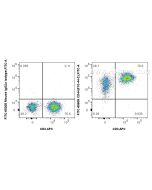 FITC Plus Anti-Human CD44 (F10-44-2) Mouse IgG2a Recombinant Antibody FITC-65608 proteintech