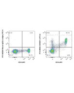 FITC Plus Anti-Human CD35 (E11) Mouse IgG2a Recombinant Antibody FITC-65622 proteintech