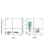 FITC Plus Anti-Mouse MHC Class II (I-A/I-E) (M5/114.15.2) Rat Recombinant Antibody FITC-65663 proteintech