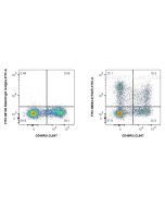 FITC Plus Anti-Human TIGIT Rabbit Recombinant Antibody FITC-98023-2 proteintech