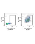 FITC Plus Anti-Mouse CD83 Rabbit Recombinant Antibody FITC-98119 proteintech