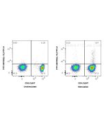 FITC Plus Anti-Human IL-13 Rabbit Recombinant Antibody FITC-98159 proteintech
