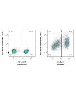 FITC Plus Anti-Human CD134/OX40 Rabbit Recombinant Antibody FITC-98181 proteintech