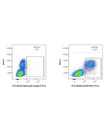 FITC Plus Anti-Human CD155/PVR Rabbit Recombinant Antibody FITC-98186 proteintech