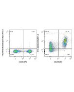 FITC Plus Anti-Mouse CD55 Rabbit Recombinant Antibody FITC-98228 proteintech