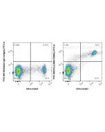 FITC Plus Anti-Human LILRB3/CD85a Rabbit Recombinant Antibody FITC-98237 proteintech