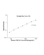 Human TDP-43 ELISA Kit KE00005 proteintech