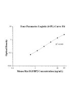 Mouse/Rat IGFBP2 ELISA Kit KE10151 proteintech