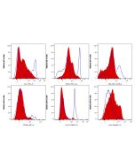 Mouse Lineage Depletion Kit KMS301 proteintech
