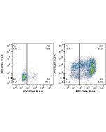 Human CD3/CD28 T cell Activation Beads Kit KMS310 proteintech