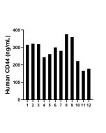 CD44 Recombinant Matched Antibody Pair, PBS Only MP00033-3 proteintech