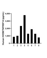 HVEM/TNFRSF14 Recombinant Matched Antibody Pair, PBS Only MP00364-3 proteintech