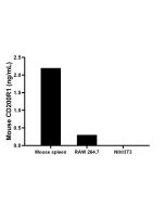 Mouse CD200R1 Recombinant Matched Antibody Pair, PBS Only MP00835-3 proteintech