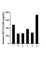 CD117/c-Kit Recombinant Matched Antibody Pair, PBS Only MP01171-4 proteintech