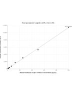 Glutamate receptor 3/GluA3 Recombinant Matched Antibody Pair, PBS Only MP01656-2 proteintech