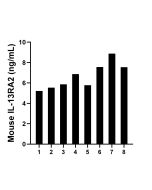 Mouse IL-13RA2 Recombinant Matched Antibody Pair, PBS Only MP02013-3 proteintech