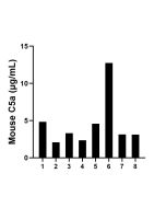 Mouse C5a Recombinant Matched Antibody Pair, PBS Only MP02047-2 proteintech